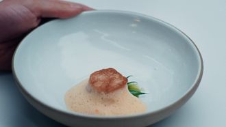 Episode 3 Scallop