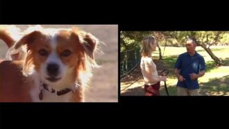 Episode 7 Duke & Lulu and Sparky