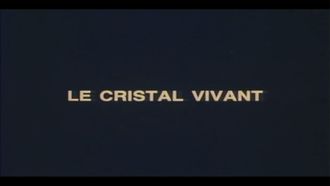 Episode 9 Living Crystal (1)