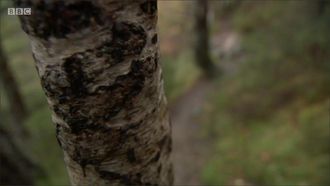 Episode 3 Cairngorms