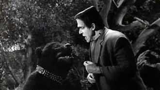 Episode 1 Herman’s Child Psychology