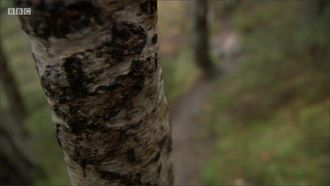 Episode 3 Cairngorms