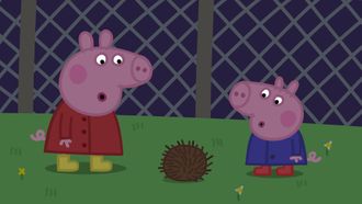 Episode 35 Night Animals