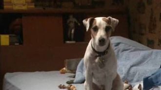 Episode 8 Oliver's Best Friend