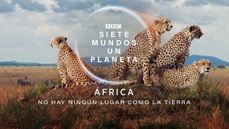 Episode 7 Africa