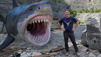 Episode 1 Shark
