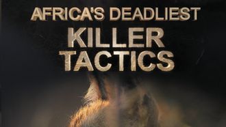 Episode 1 Killer Tactics