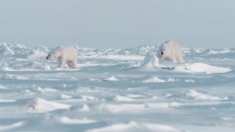 Episode 4 Snowfall