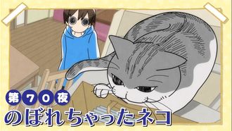 Episode 70 Night 70: The Cat that Climber Up