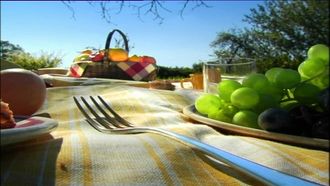 Episode 4 Picnic