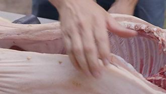 Episode 3 Whole Hog