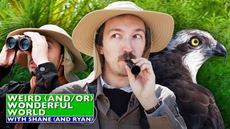 Episode 2 Shane & Ryan Go Birdwatching