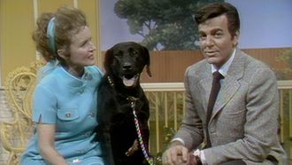Episode 7 Mike Connors