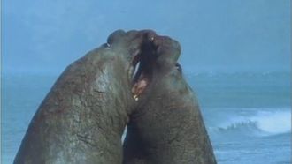 Episode 2 The Ice Retreats