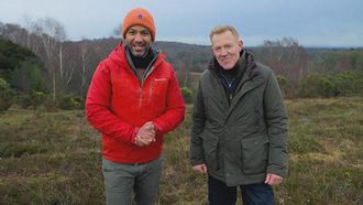 Episode 4 New Forest