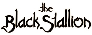 The Black Stallion