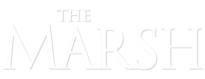 The Marsh logo