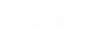 Wild Life logo