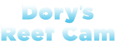 Dory's Reef Cam logo
