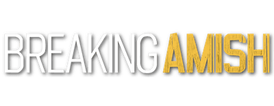 Breaking Amish logo