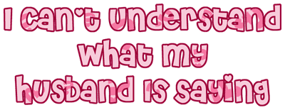 I Can't Understand What My Husband Is Saying logo