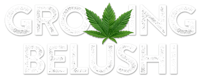 Growing Belushi logo