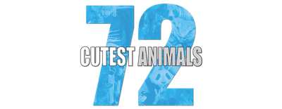 72 Cutest Animals logo
