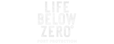 Port Protection logo