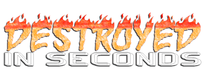 Destroyed in Seconds logo