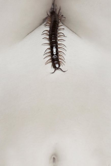 The Human Centipede 2 (Full Sequence)