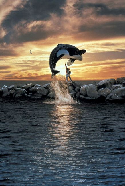 Free Willy