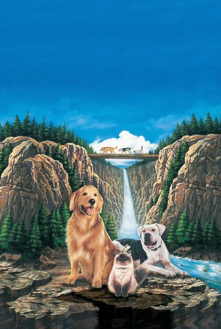 Homeward Bound: The Incredible Journey