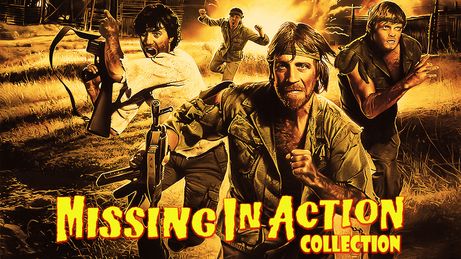 Missing in Action