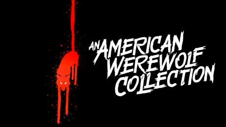An American Werewolf