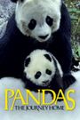 Pandas: The Journey Home