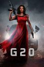 G20