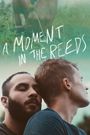 A Moment in the Reeds