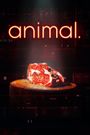 animal.