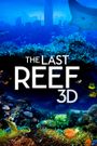 The Last Reef