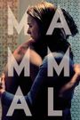 Mammal