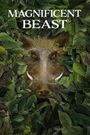 Magnificent Beast