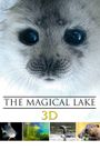 Tale of a Lake