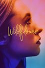 Wildflower
