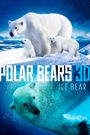 Polar Bears: Ice Bear