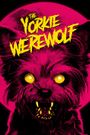 The Yorkie Werewolf
