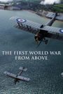 The First World War from Above