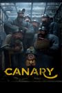 Canary