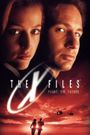 The X Files