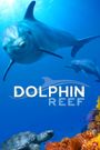 Dolphin Reef