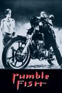 Rumble Fish